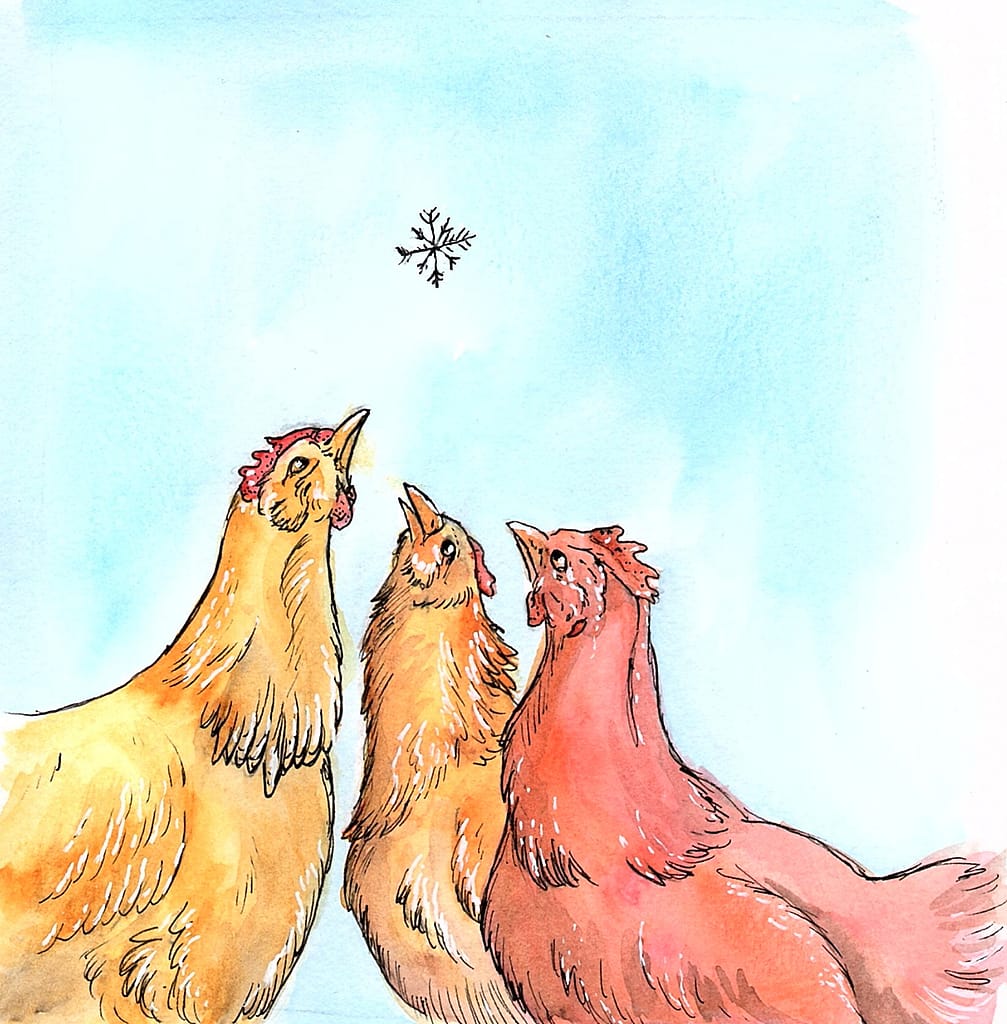 "The Three Wise Hens"