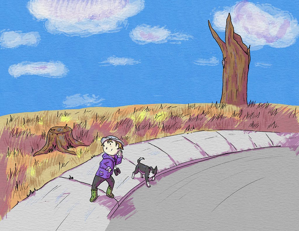 Illustration of boy and dog on a sidewalk on a crisp afternoon, listening to a woodpecker.